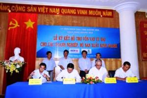 Hình nhỏ