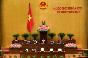 Hình nhỏ