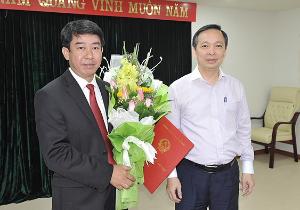 Hình nhỏ