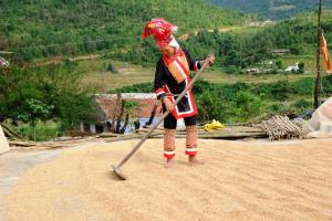 Hình nhỏ