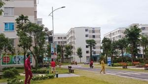 Hình nhỏ
