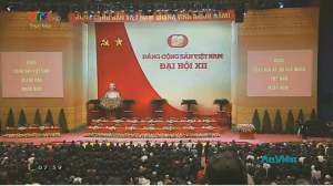 Hình nhỏ