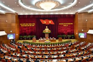Hình nhỏ