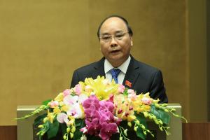 Hình nhỏ