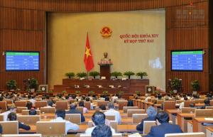 Hình nhỏ
