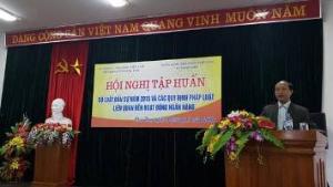 Hình nhỏ