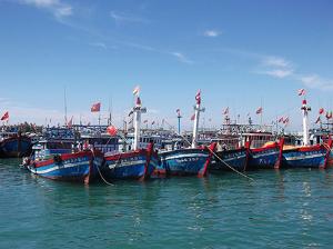 Hình nhỏ