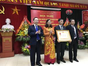 Hình nhỏ