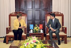 Hình nhỏ