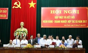 Hình nhỏ