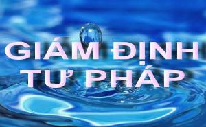 Hình nhỏ