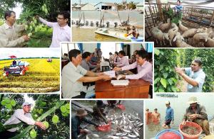 Hình nhỏ