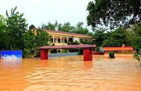 Hình nhỏ
