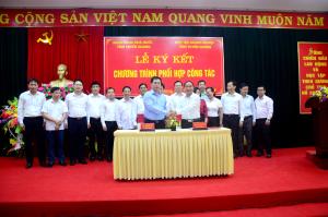 Hình nhỏ