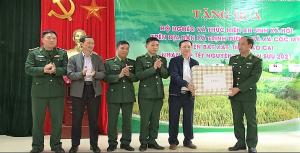 Hình nhỏ