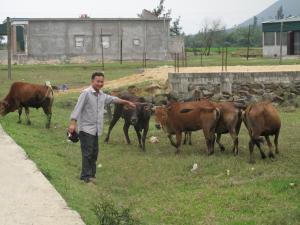Hình nhỏ