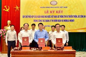 Hình nhỏ