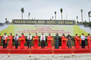 Hình nhỏ