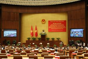 Hình nhỏ