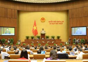 Hình nhỏ