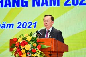 Hình nhỏ