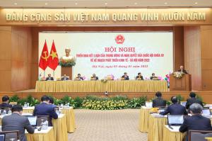 Hình nhỏ