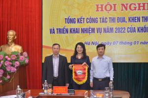 Hình nhỏ
