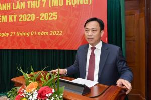 Hình nhỏ