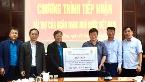 Hình nhỏ
