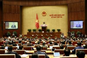 Hình nhỏ