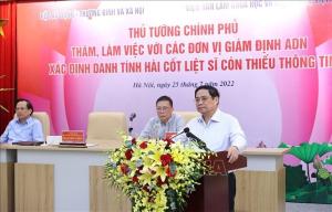 Hình nhỏ