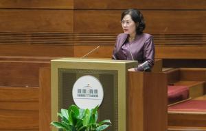 Hình nhỏ