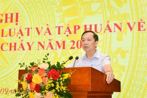 Hình nhỏ