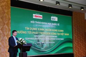 Hình nhỏ