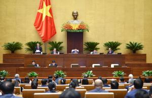 Hình nhỏ