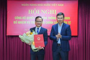 Hình nhỏ