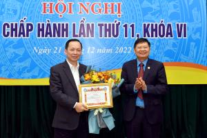 Hình nhỏ