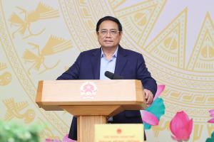 Hình nhỏ