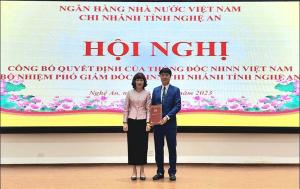 Hình nhỏ