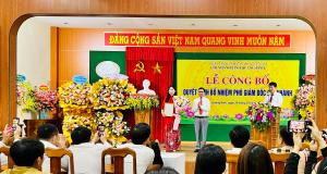 Hình nhỏ