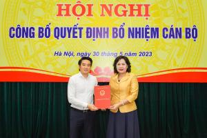 Hình nhỏ