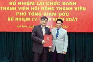 Hình nhỏ