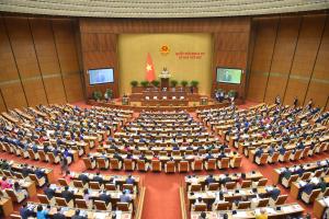 Hình nhỏ