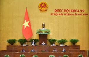 Hình nhỏ