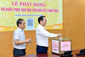 Hình nhỏ