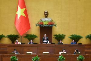Hình nhỏ
