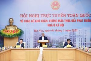 Hình nhỏ