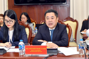 Hình nhỏ