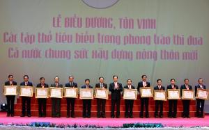 Hình nhỏ