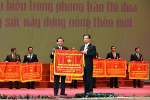 Hình nhỏ